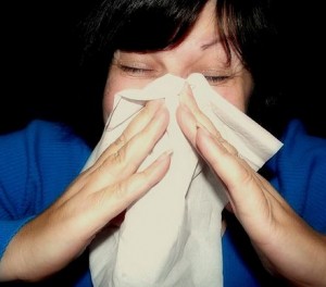 sneezing allergies car accident