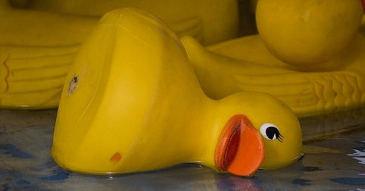 rubber-ducky-lame-duck
