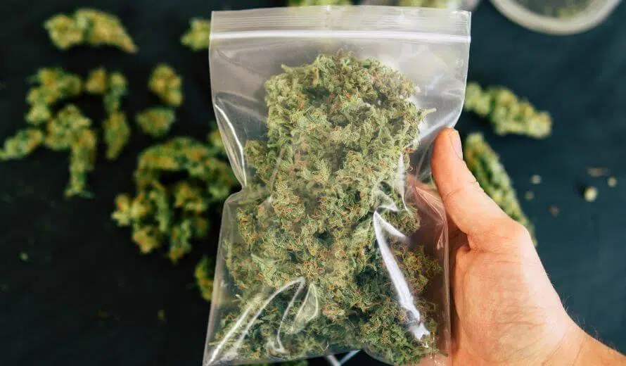 Marijuana legalization - Will it result in more car crashes in Michigan?