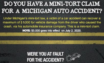 Michigan Mini Tort Infographic