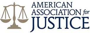 Past President - Trucking Litigation Group of the American Association for Justice