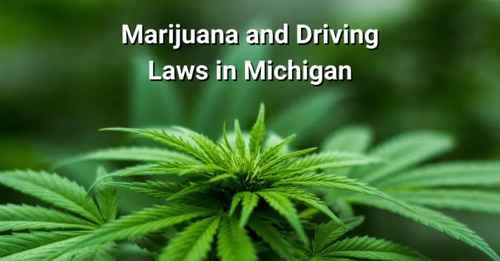 Marijuana and Driving Laws in Michigan: What You Need To Know