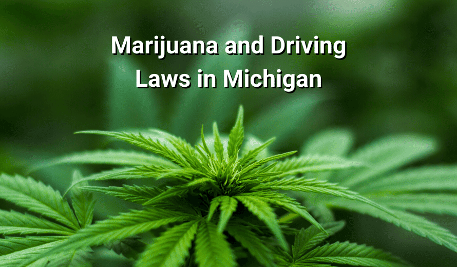 Marijuana and Driving Laws in Michigan: What You Need To Know