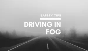 Driving in Fog Safety Tips Drivers Need To Know