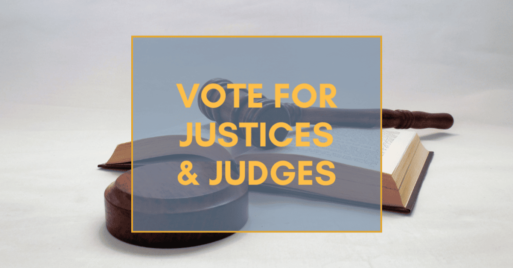 Michigan Judicial Elections 2020: What Judges Should You Vote For?