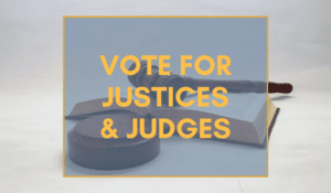 Michigan Judicial Elections 2020: What Judges Should You Vote For?