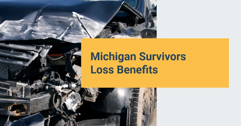 Michigan Survivors Loss Benefits