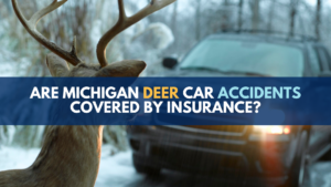 Michigan deer car accidents covered by insurance?