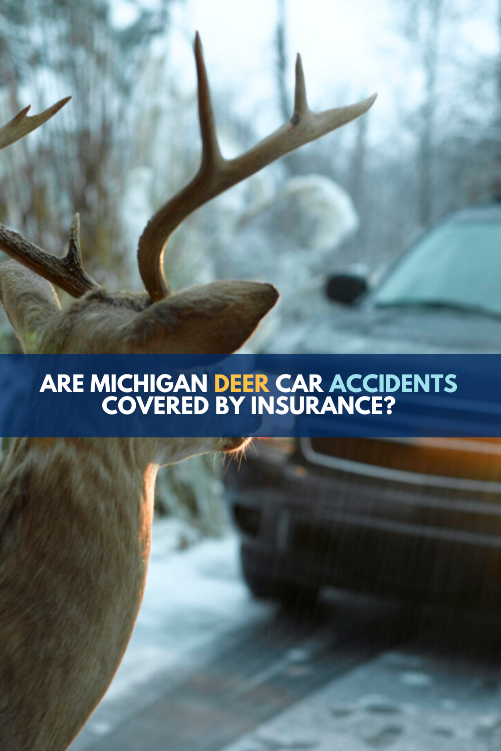 Michigan Deer Car Accidents: Are They Covered By Insurance?
