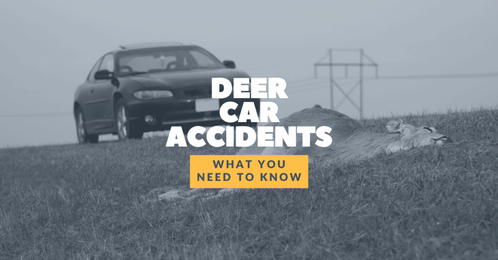 Deer Car Accidents: Are They Covered By Insurance?