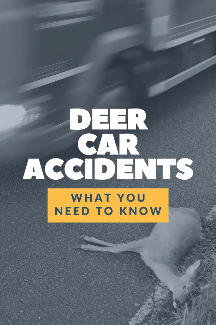Michigan Deer Car Accidents: Are They Covered By Insurance?