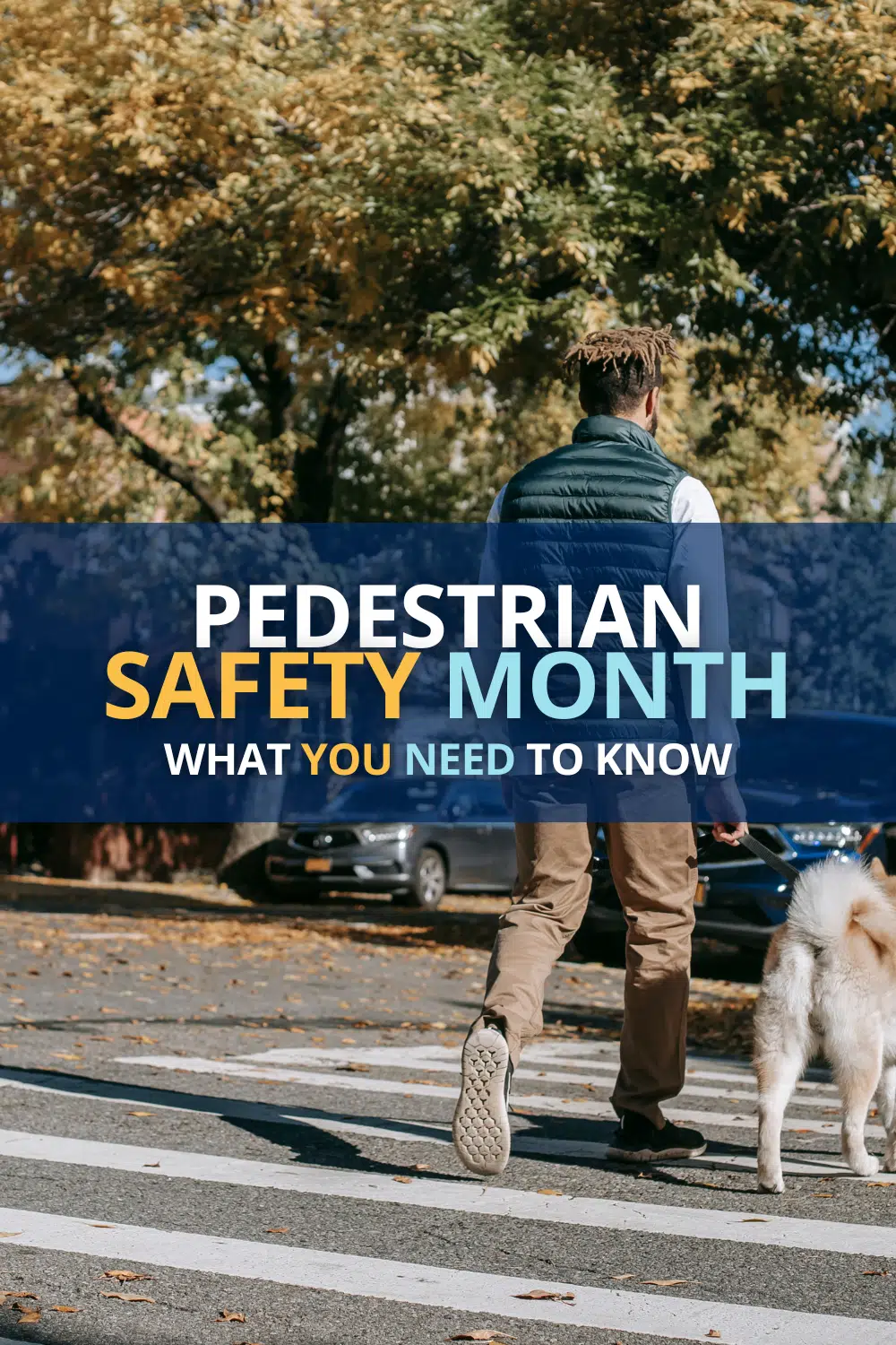 Pedestrian Safety Month October 2022: What You Need To Know