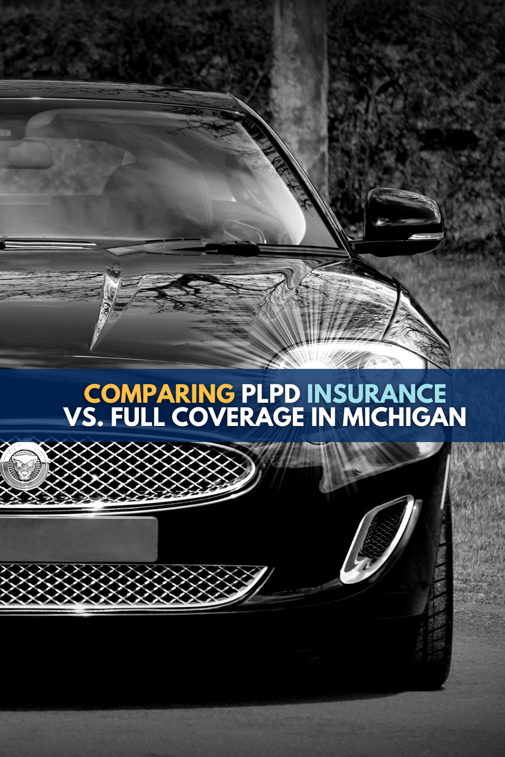 PLPD vs Full Coverage: What\'s The Difference?