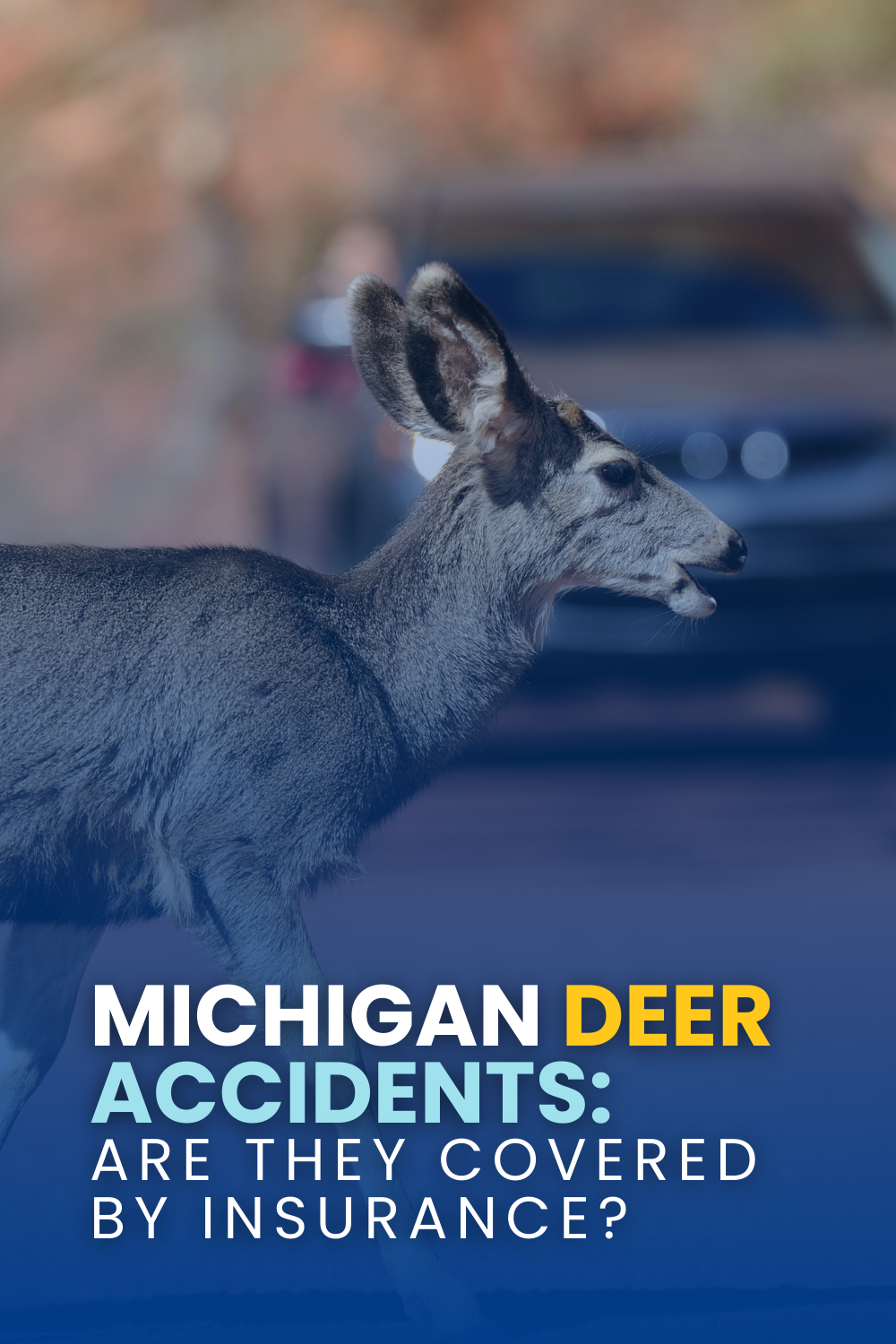 Michigan Deer Car Accidents: Are They Covered By Insurance?