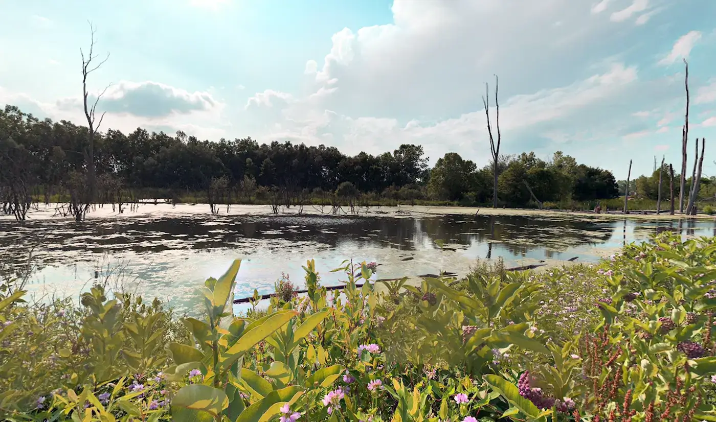 Portage nature area and water view, reflecting the area served by a car crash law firm in Portage.